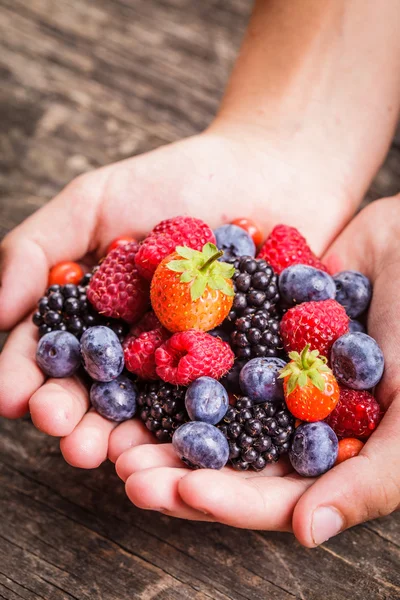 Berries di tangan — Stok Foto