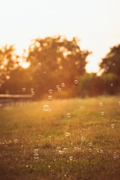 Bolle nel parco — Foto Stock