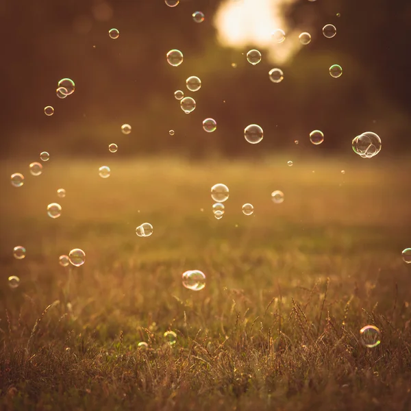 Пузырьки в парке — стоковое фото