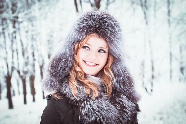 Woman in winter Stock Image