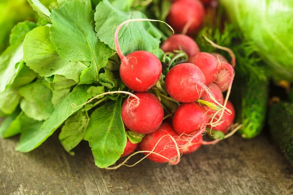 Fresh radish bunch — Stock Photo, Image