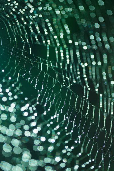 Inspiration web — Stock Photo, Image