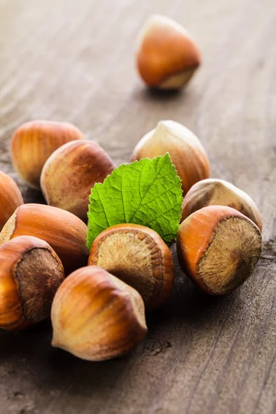 Lískové ořechy haldy — Stock fotografie