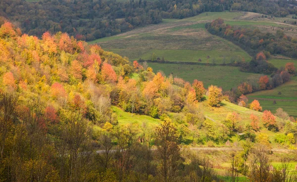 Paisaje de otoño — Foto de Stock