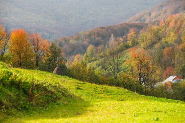 Autumnal landscape — Stock Photo, Image