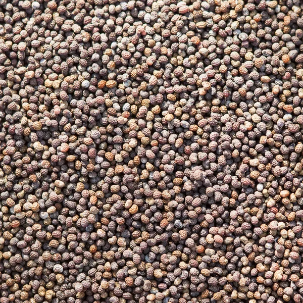 Poppy seed background — Stock Photo, Image