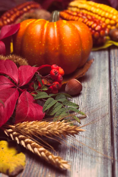 Herbst in einer Schachtel — Stockfoto