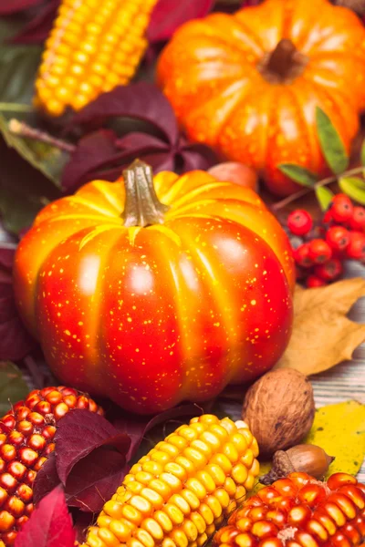 Herbst in einer Schachtel — Stockfoto