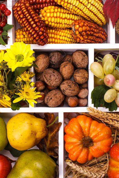 Herfst in een doos — Stockfoto