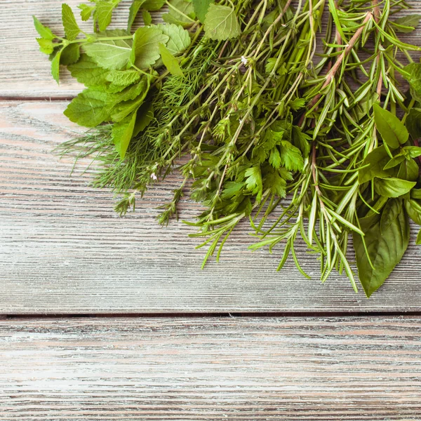 Frische Kräuter — Stockfoto