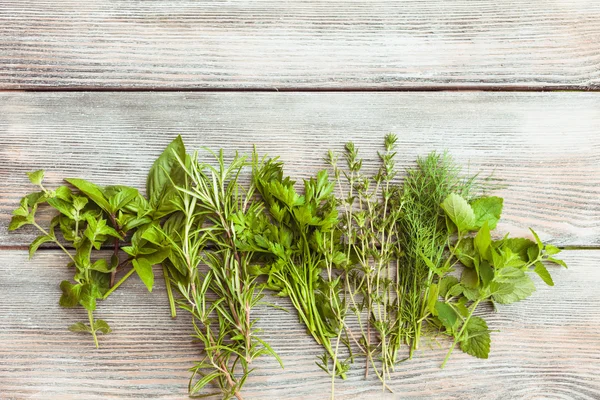 Frische Kräuter — Stockfoto