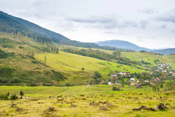 Protección del medio ambiente — Foto de Stock