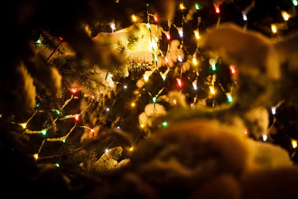 Árbol de Navidad al aire libre —  Fotos de Stock