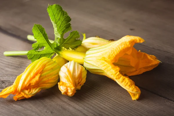 Zucchini flower — Stock Photo, Image