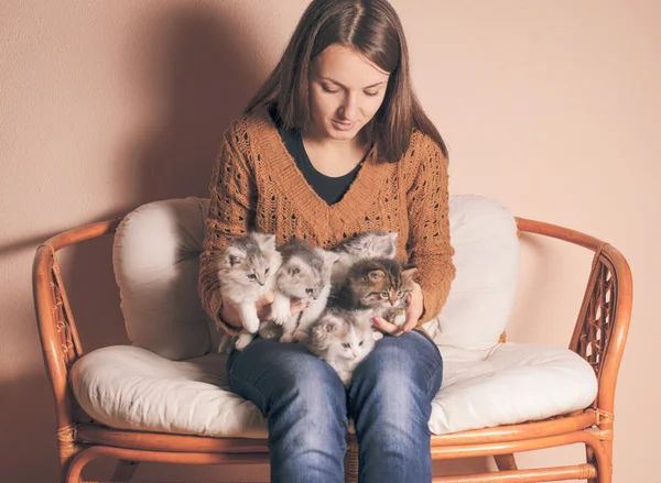 Kittens op knieën — Stockfoto