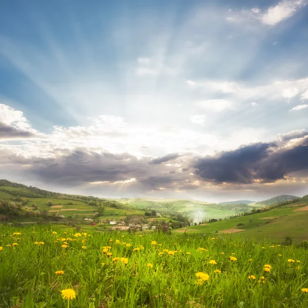 Spring meadows — Stock Photo, Image