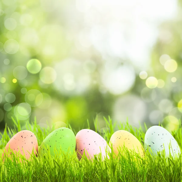 Auguri di Pasqua — Foto Stock