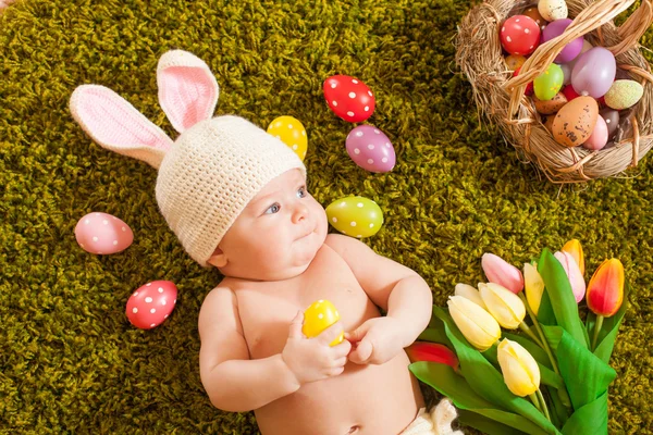 赤ちゃんのイースターのウサギ — ストック写真