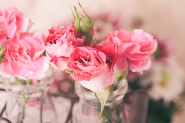 Rosa Blüten — Stockfoto