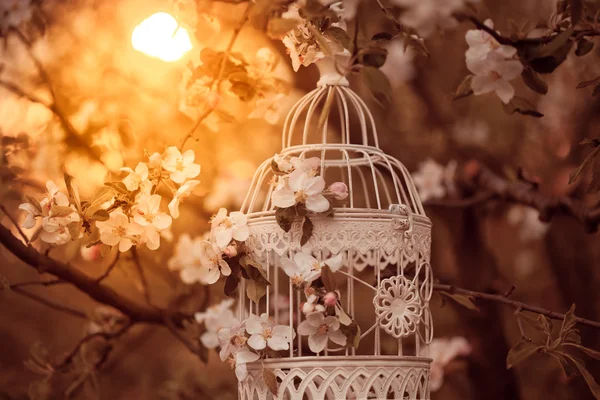 Cage à oiseaux - décor romantique — Photo