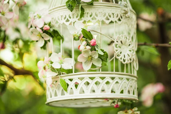 Bird cage - romantic decor — Stock Photo, Image
