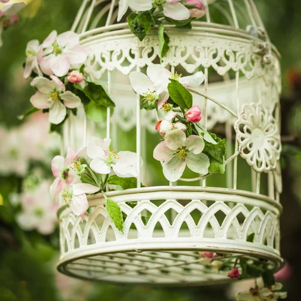 Kuş kafesi - romantik dekor — Stok fotoğraf