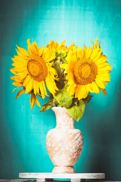Zátiší slunečnice — Stock fotografie