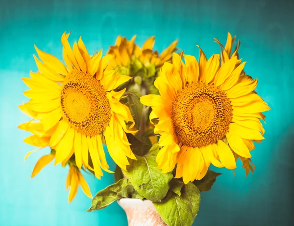 Zonnebloem stilleven — Stockfoto