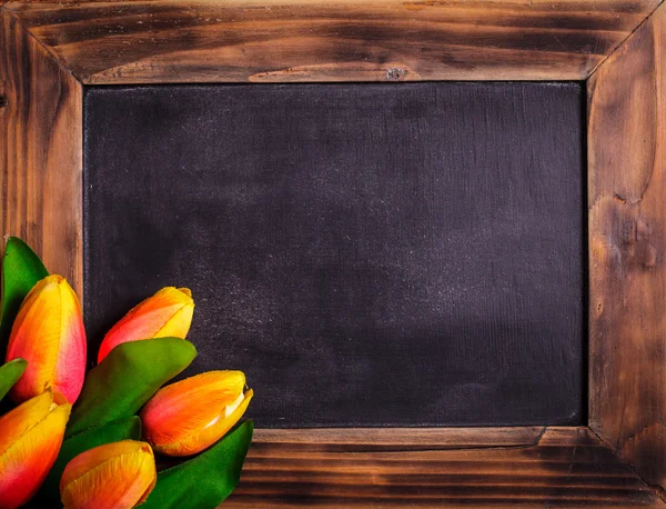 Tulips with chalkboard — Stock Photo, Image