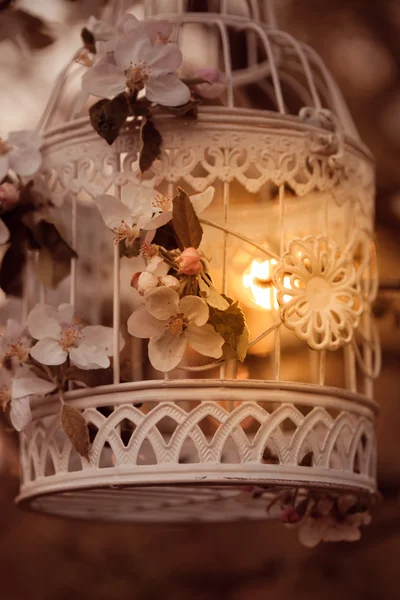 Bird cage - romantic decor Royalty Free Stock Images