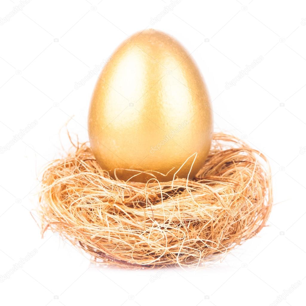 golden egg in nest