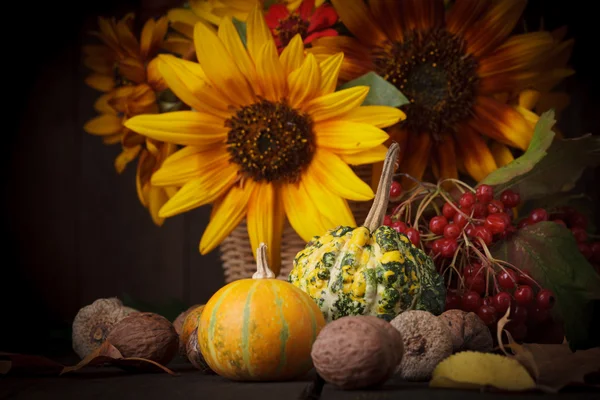 Natureza morta em cores de outono — Fotografia de Stock