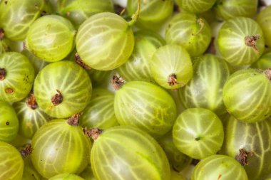 Yeşil bektaşi üzümü