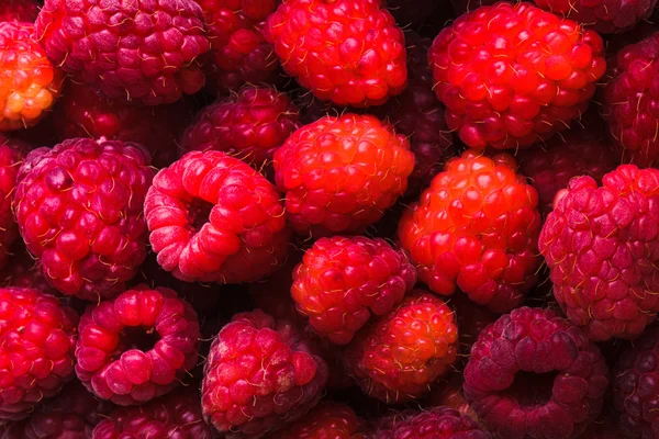 Raspberries close up — Stock Photo, Image