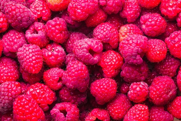 Raspberries close up — Stock Photo, Image