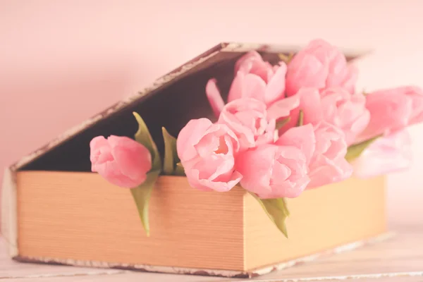 Tulpen in boek — Stockfoto