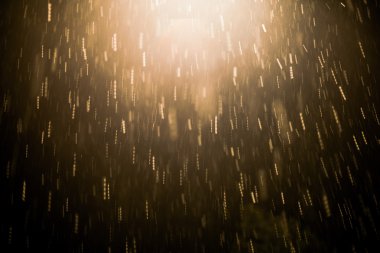 Kar ve açık renkli