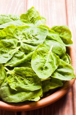 ıspanak yaprakları 