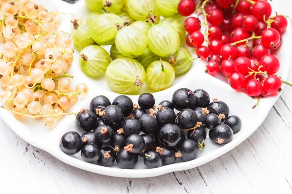 Currants and gooseberry — Stock Photo, Image