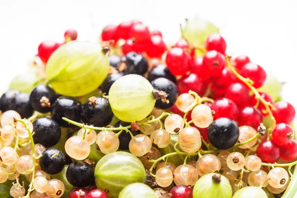 Currants and gooseberry — Stock Photo, Image