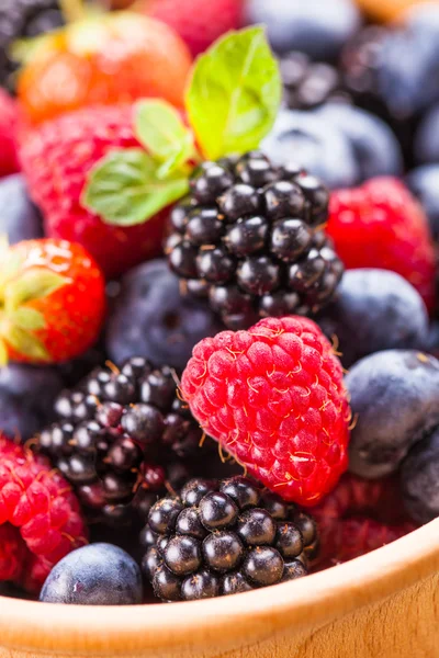 Berries close up — Stock Photo, Image