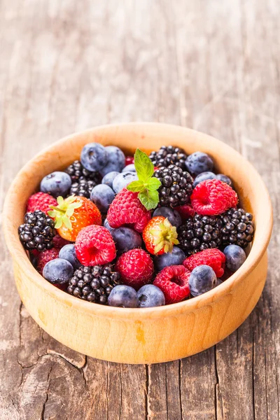 Berries close up — Stock Photo, Image