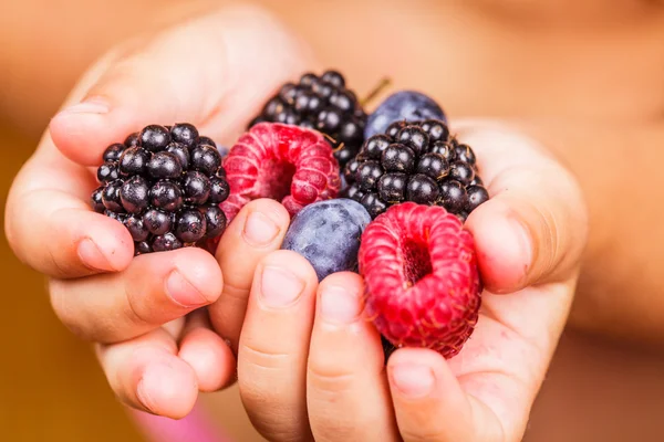 Berries di tangan — Stok Foto