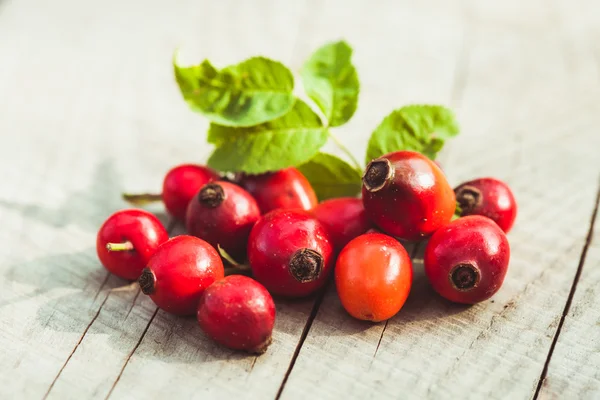 Frutos de rosa —  Fotos de Stock