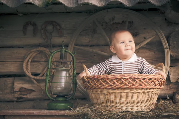 Retro rural ainda vida — Fotografia de Stock