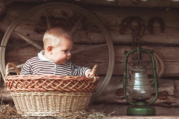 Naturaleza muerta rural retro — Foto de Stock