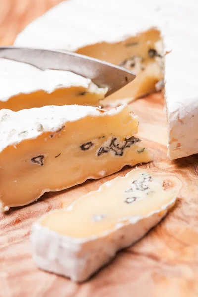 Cheese with two mold — Stock Photo, Image