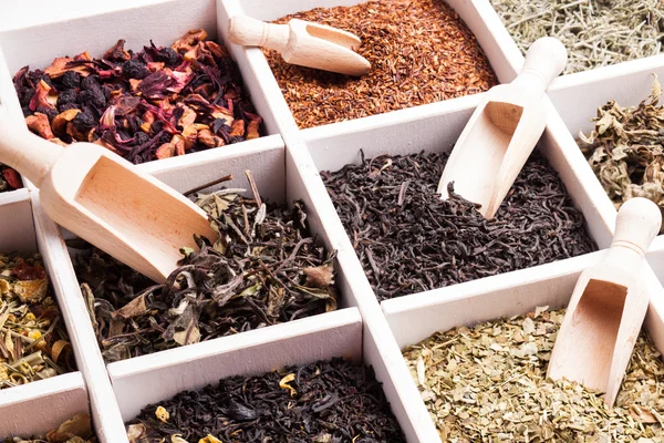 Various of tea in a box — Stock Photo, Image