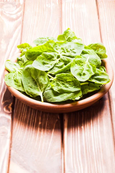 Spinach leaves — Stock Photo, Image