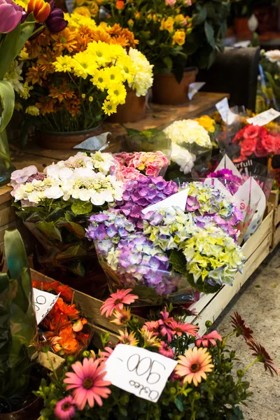 Blumenmarkt — Stockfoto